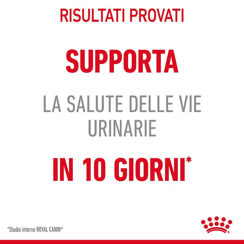 Royal Canin Urinary Care Salsa Umido per Gatto - 12x85gr Royal Canin Urinary Care Salsa Umido per Gatto - 12x85gr